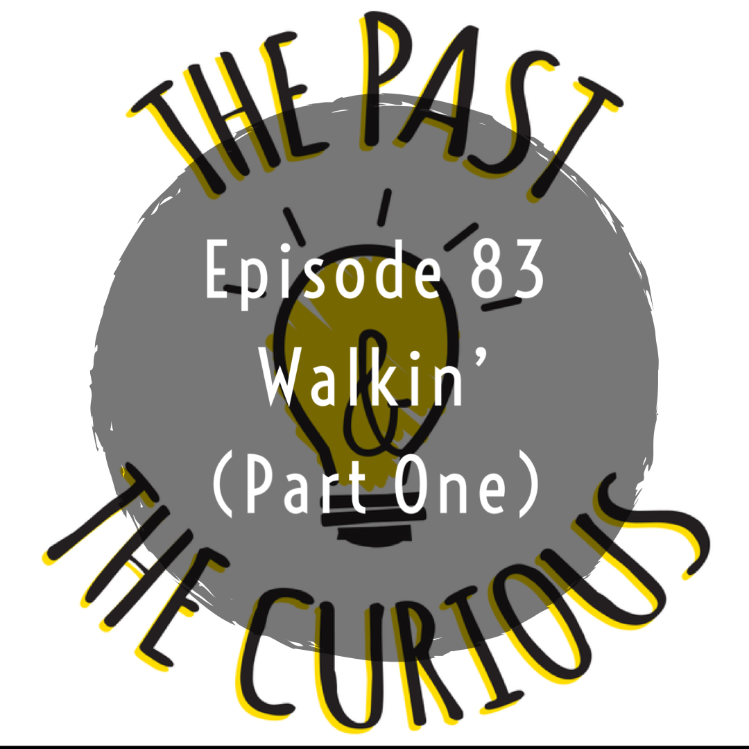 Episode 83 Walkin Part One The Past And The Curious